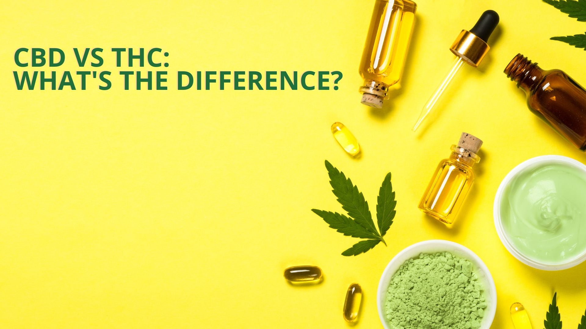 CBD vs THC | What’s the Difference?